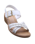 Imagen 1 del producto 564blanco