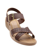 Imagen 1 del producto 564comino