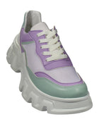 IMG 1 COLOR 9