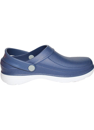 IMG 2 COLOR 28